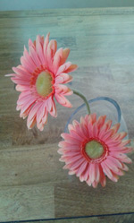 Samsung Galaxy Ace 2- ซัมซุง Galaxy Ace 2