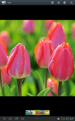 Samsung Galaxy Tab 7.7 - ซัมซุง Galaxy Tab 7.7