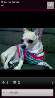 Sony Ericsson Xperia arc S- ⫹ Ԥѹ arc S