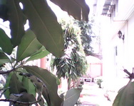 TWZ T3 - ทีดับบลิวแซด T3