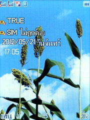 Wellcom S1005 - เวลคอม S1005