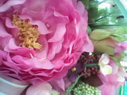 Wellcom S1005 - เวลคอม S1005