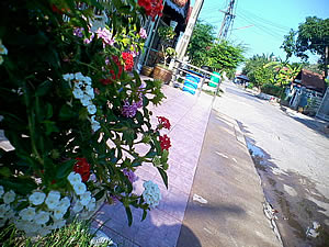 ZYQ Dpad -  แซดวายคิว Dpad