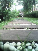 ZYQ Q3022 - แซดวายคิว Q3022