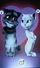 ZYQ Q3602 Fit - แซดวายคิว Q3602 Fit