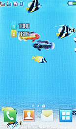 ZYQ Q3602 Fit - แซดวายคิว Q3602 Fit