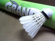 ZYQ Q3623 Wi-Fi Finger - แซดวายคิว Q3623 Wi-Fi Finger 