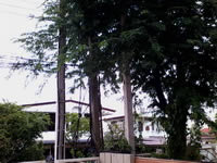 zyq Qpad - แซดวายคิว Qpad