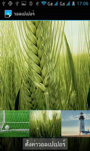 KTouch W806 soul L - เคทัช W806 Soul L