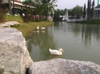 OPPO Find 5 - ออปโป้ Find 5