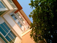 OPPO Find Piano - ออปโป้ Find Piano R8113