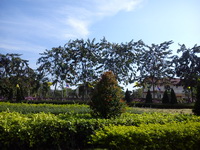 SONY Xperia J - โซนี่ Xperia J