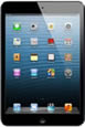 Apple - iPad mini 4G WiFi 64GB