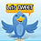 Twitter in Chiang Mai ���駷�� 1 �ҹ����Ť� Follow ���͢����ѧ���͹�Ź�����ѧ���ç㹢�й��