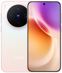 vivo X300