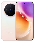 vivo X300