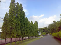 Nokia N73 - โนเกีย