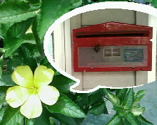 Samsung SGH X820 - ซัมซุง