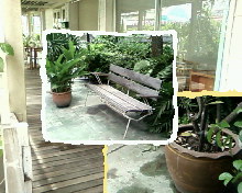 Samsung SGH X820 - ซัมซุง