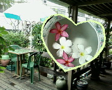 Samsung SGH X820 - ซัมซุง