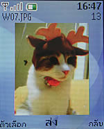 Nokia 3110 Classic - โนเกีย