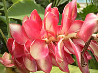 Samsung U900 Soul - ซัมซุง 