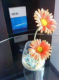 Sony Ericsson T700 - โซนี่ อีริคสัน