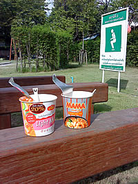 Sony Ericsson T700 - โซนี่ อีริคสัน