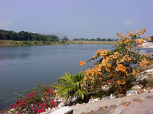 Sony Ericsson T700 - โซนี่ อีริคสัน