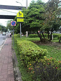 LG GM730 - แอลจี GM730