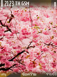 Nokia 6720 Classic - โนเกีย 6720 คลาสสิค