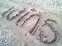 wins V600 - วินส์