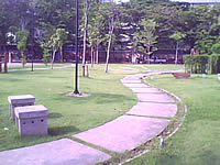 wins V600 - วินส์