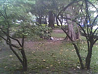 มือถือ H2O X4 - เอชทูโอ