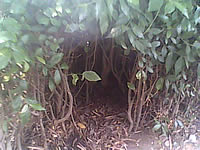 มือถือ H2O X4 - เอชทูโอ