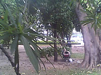 มือถือ H2O X4 - เอชทูโอ