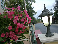 Nokia C5-03 - โนเกีย C5-03 