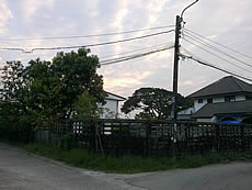 Nokia C5-03 - โนเกีย C5-03 