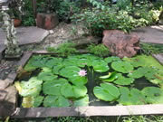 Samsung Galaxy Note 2 - ซัมซุง Galaxy Note 2