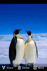 Wellcom A9 - เวลคอม A9