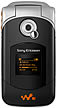 Sony Ericsson W300i