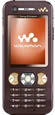 Sony Ericsson W890i